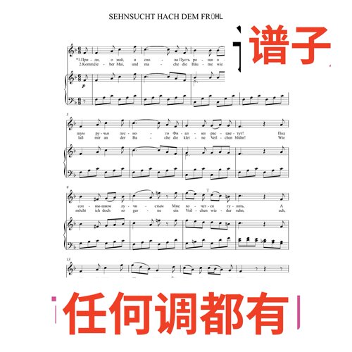 SEHNSUCHT HACH DEM FRÜHLING 2F伴奏谱正谱声乐