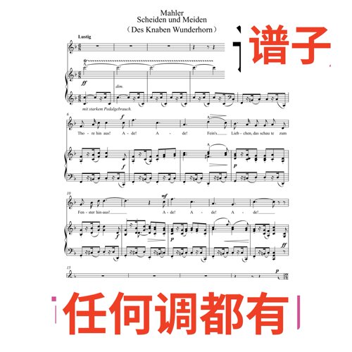 Scheiden und Meiden 4页F伴奏谱正谱声乐
