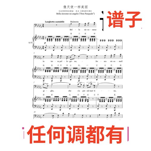 4bD Bella siccome un angelo伴奏谱正谱声乐
