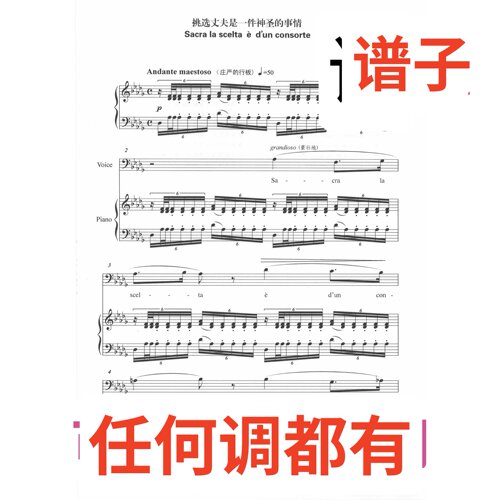 6bD sacra la scelta e dun con sorte伴奏谱正谱声乐