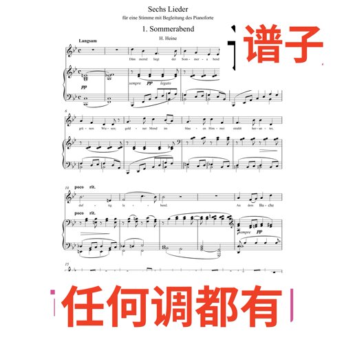 sechs lieder sommerabend 2bB伴奏谱正谱声乐