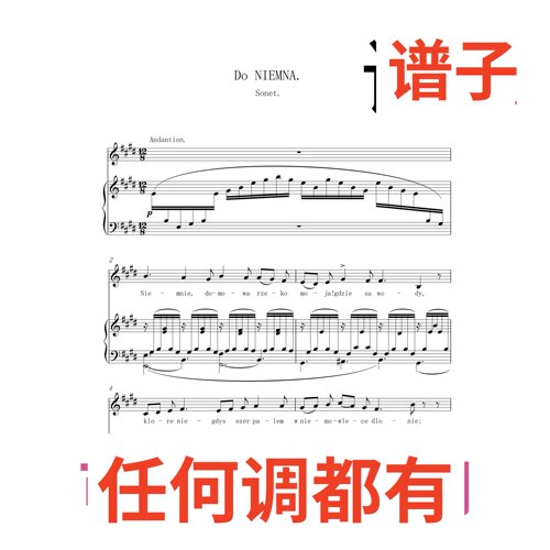 Do Niemna Moniuszko 5页E伴奏谱正谱声乐
