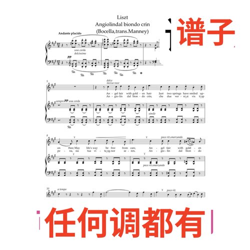 angiolin dal biondo crin 6页A伴奏谱正谱声乐