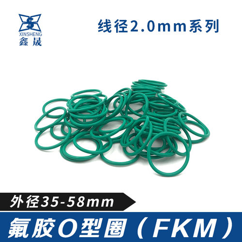 氟胶耐腐蚀密封圈