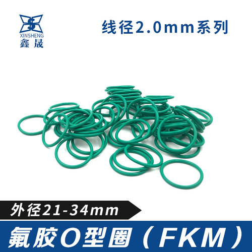 氟胶耐高温密封圈
