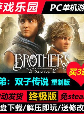 兄弟：双子传说 v21.03.2024/中文PC单机游戏全DLC免Steam买3送1