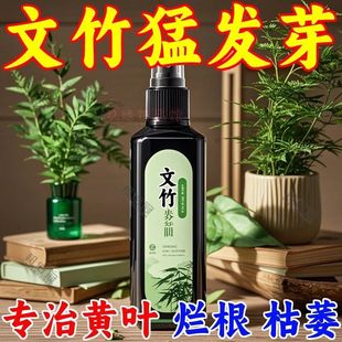 文竹专用营养液肥料盆栽植物叶子发黄枯瘦烂根干尖壮根绿叶通用型