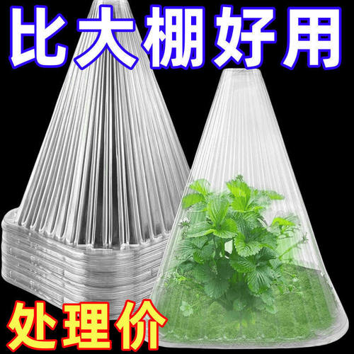 育苗保护罩透明可重复用温室大棚免受鸟类霜冻伤害加厚保护防鸟网