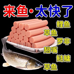 钓鱼火腿肠鱼饵料野钓通杀鲫鱼鲤鱼草鱼罗非鱼水库黑坑颗粒窝鱼料