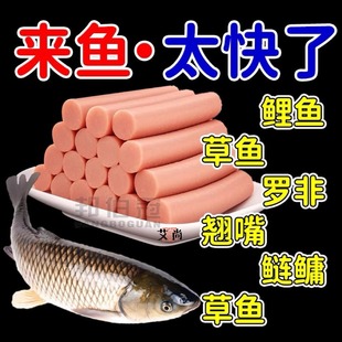 钓鱼火腿肠鱼饵料野钓通杀鲫鱼鲤鱼草鱼罗非鱼水库黑坑颗粒窝鱼料