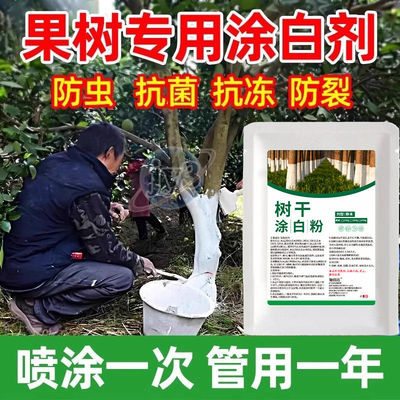 果树专用涂白剂树木树干抗寒防冻防虫杀菌刷树粉安全园林防护盆景