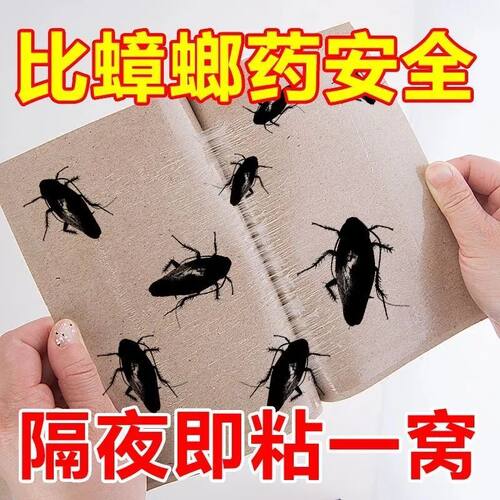 家用蟑螂粘板蟑螂贴厨房餐厅室内蟑螂贴粘板蟑螂屋蟑螂农田