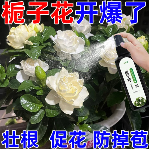 栀子花肥料专用肥营养液开花植物家用养花专用盆栽通用型酸性花肥