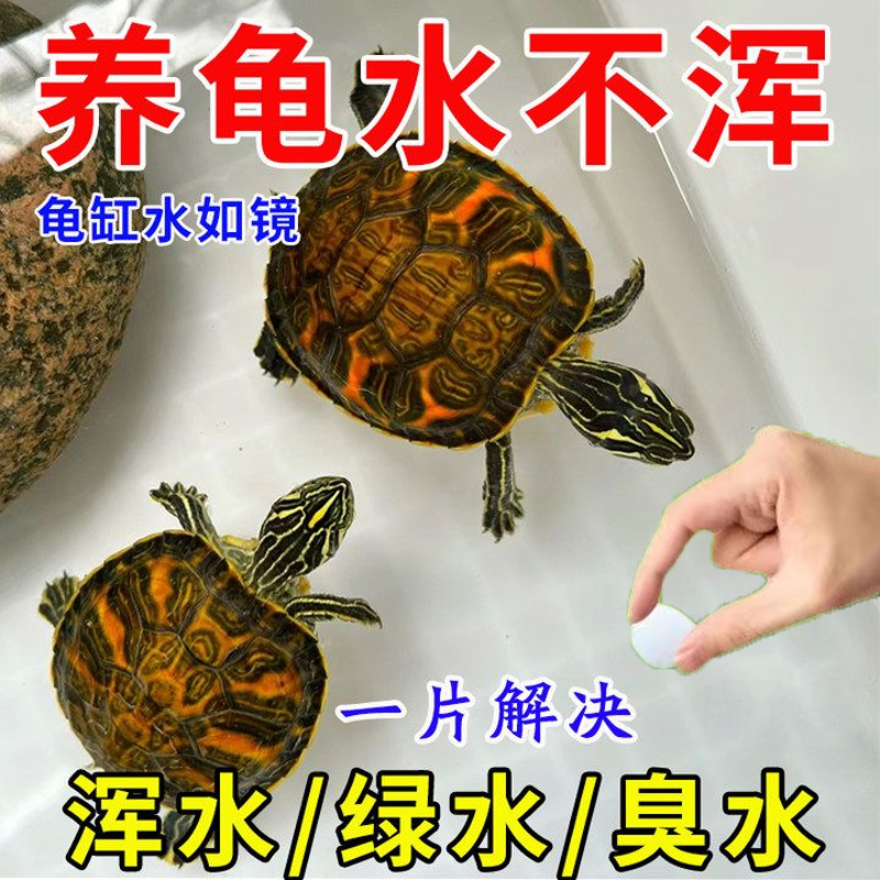 护龟片乌龟腐皮烂甲白眼常专用龟药腐甲烂皮拒食浮水龟缸净水消毒