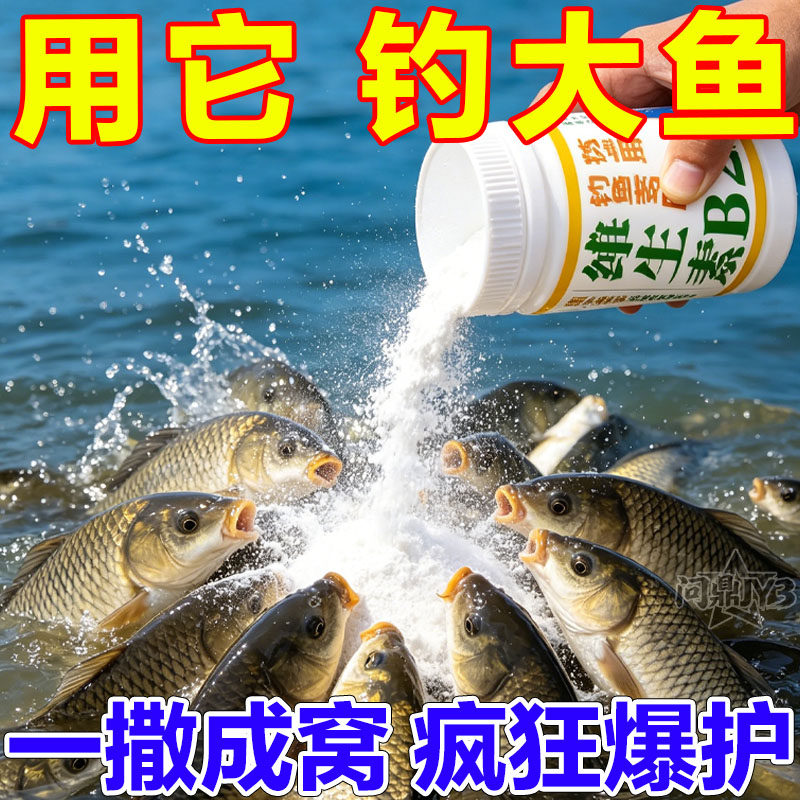 核黄素粉维生素b2钓鱼专用诱鱼剂诱食添加剂鲫鱼鲤鱼四季款鱼饵