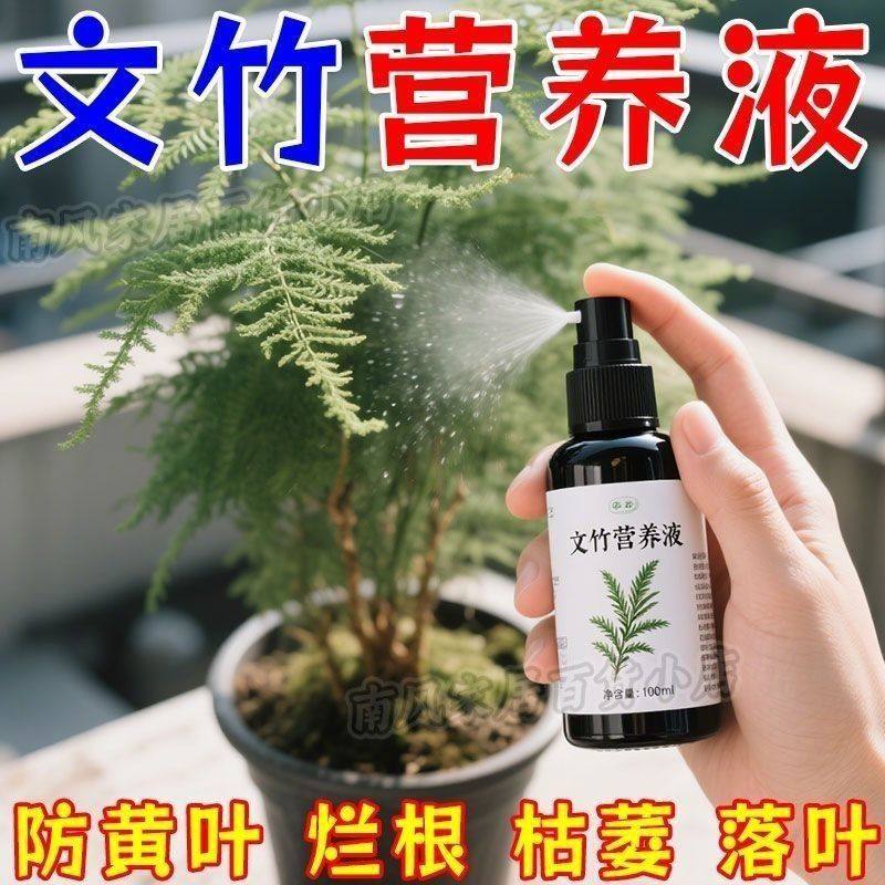 【四季爆芽】文竹专用肥营养液治叶子发黄枯瘦干尖烂根落叶促生长,鲜花速递/花卉仿真/绿植园艺,家庭园艺肥料,淘宝优惠券,粉丝福利购,淘宝优惠卷