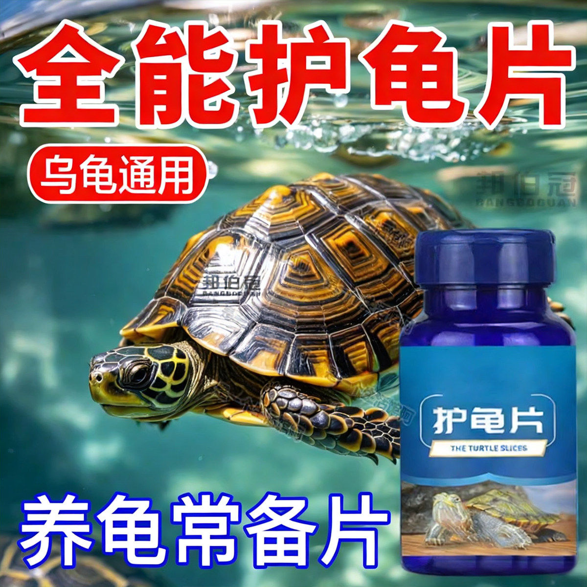 养龟专用护龟片净水除臭免换水