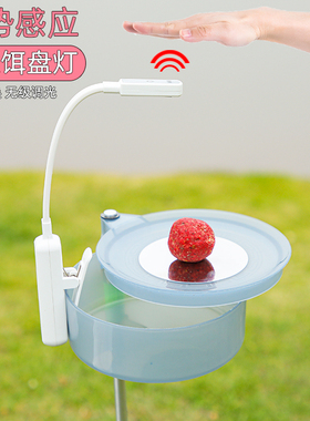 夜钓灯感应上饵灯钓鱼灯饵料盘灯拉饵灯LED充电饵灯垂钓渔具装备