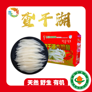 查干湖大银鱼2000g4斤礼盒装包邮天然有机特级大银鱼