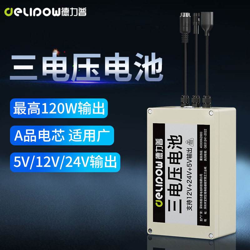 德力普12v锂电池多电压输出5vUSB音响户外led灯带移动电源24V电瓶 - 实物图