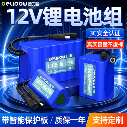 德力普12v大容量锂电池组