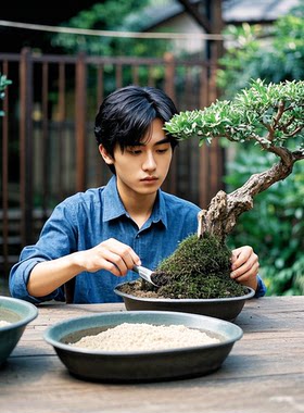 精品盆景素材，新鲜，好活！