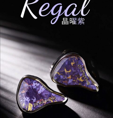 山灵Regal晶耀紫流行人声有线入耳式HiFi耳机2动圈2平板4动铁耳塞