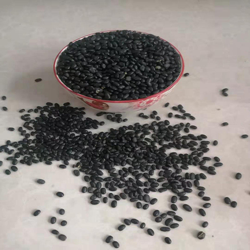 黑豆打豆浆专用农家自种五谷杂粮非转基因老品种黄心醋泡黑豆纳豆
