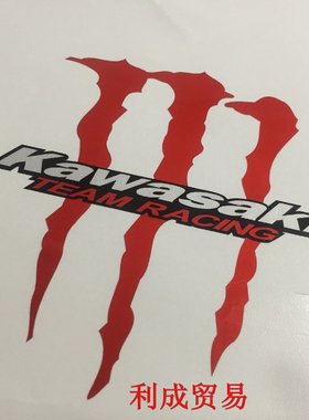 Z1000/Z800/Z250GTR1400/ninja300/VERSYS650ER6n川崎摩托车贴纸