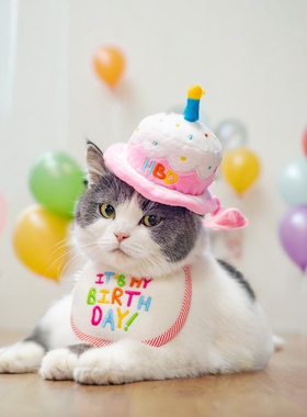 宠物生日帽子刺绣狗狗派对帽猫配饰节日蛋糕帽生日围兜