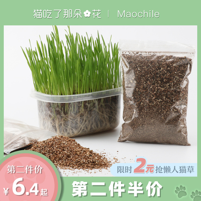 营养土猫盆栽包邮有机小麦种子