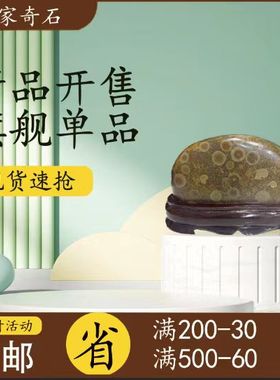 钱币石原石天然石钱币外蒙金钱石收藏石头摆件