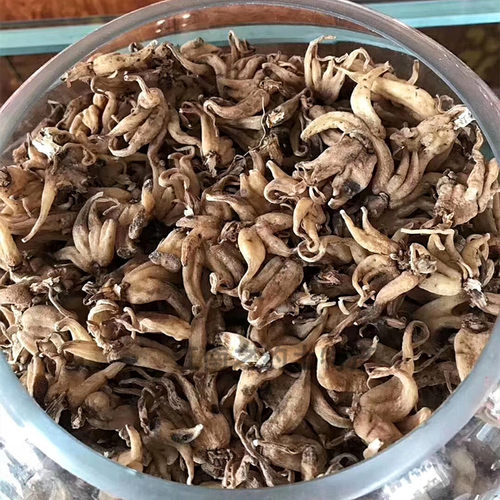 西藏林芝特产手掌参佛手参