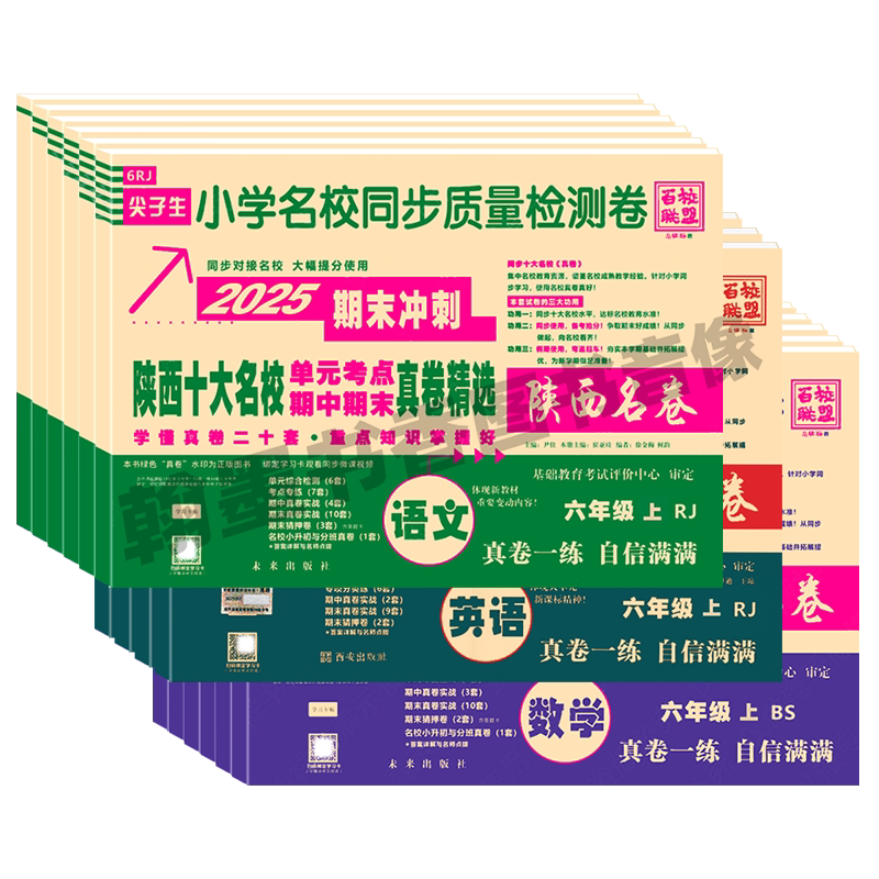 2027小学十大名校期末冲刺一百分