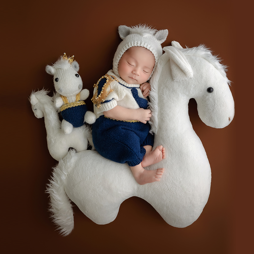 超可爱新生儿摄影白马王子主题
