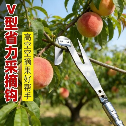 荔枝摘槐花采摘榆钱工具采摘摘采摘工具钩子龙眼香椿新款神器果子