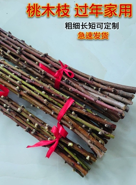 东南老桃木镇宅原木桃枝桃树枝婴儿护身桃木枝挂件护身枝条棍野生