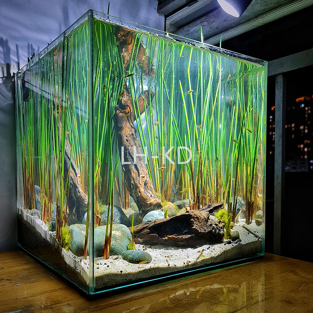 水草泥水草砂陶粒砂鱼缸水族箱造景装饰套餐水草种子南美溪流缸