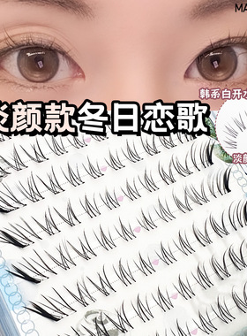 新品冬日恋歌升级手绘漫画狐系软梗单簇假睫毛卷翘新手自然素颜睫