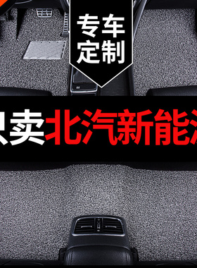 北汽新能源eu5 ec180 220 eu260 eu300 ex360 ex3专用ec5汽车脚垫