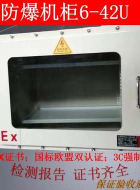 防爆网络机柜 防爆机柜防爆弱电柜 防爆9U机柜 4-42U防爆监控机柜