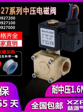高压电磁阀0927常闭水阀加载气阀Best-Na.0200 AC220V DC24V