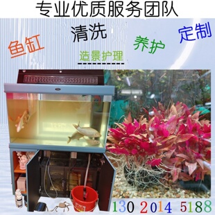 鱼缸清洗养护造景优质服务上门护理清洁鱼池换水组装鱼缸定制配件