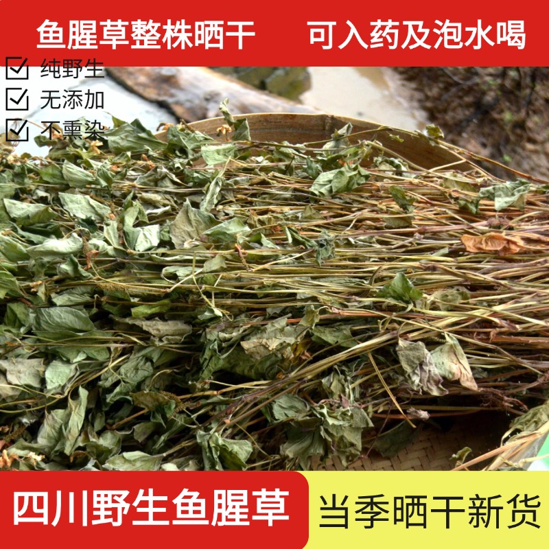 鱼腥草干货500g新鲜大山中药材