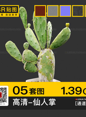 仙人掌霸王树亮绿色盆栽植物高清pbr法线通道3d材质su贴图c4d素材