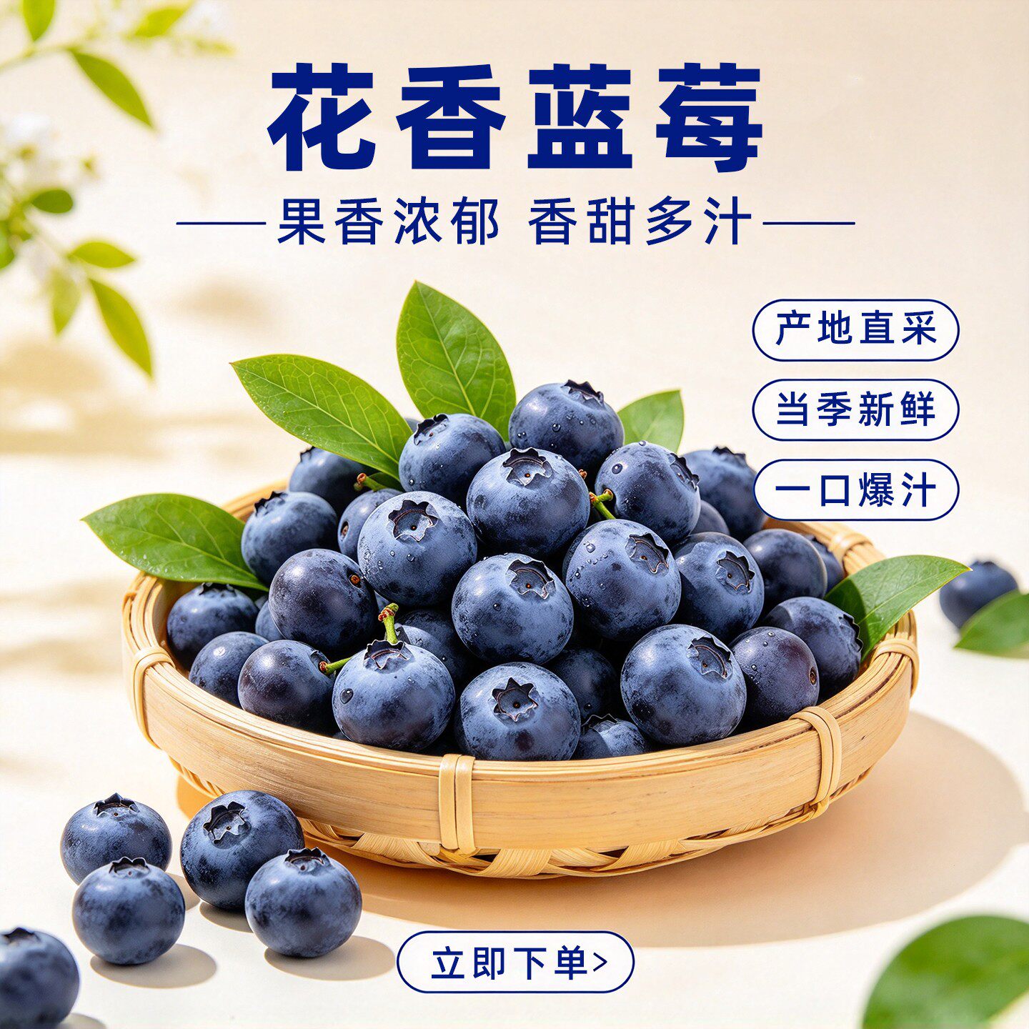 四川凉山花香蓝莓现摘爆汁一公斤
