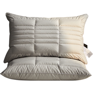 五星级酒店半荞麦皮壳双面立体护颈椎睡眠枕头助枕芯硬专用成人