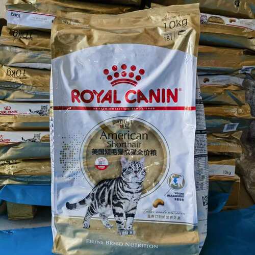 皇家英短美短成猫猫粮皇家虎斑