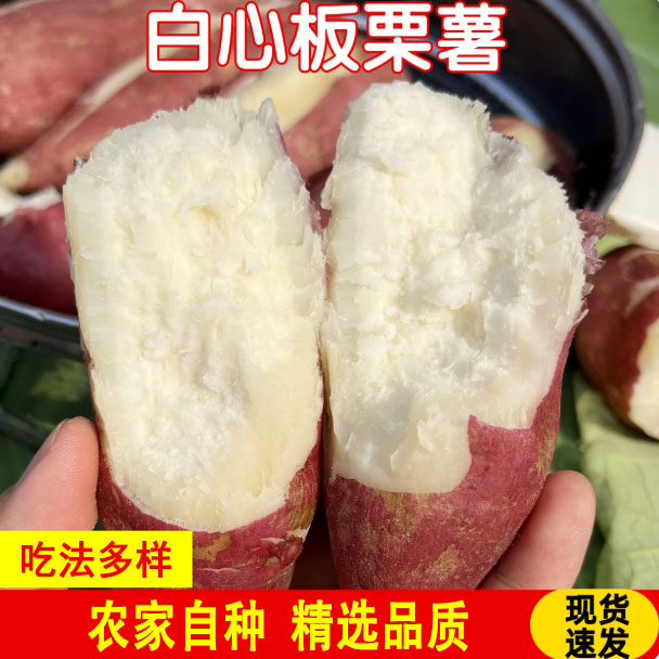 农家自种现挖现发红皮白心蜜薯