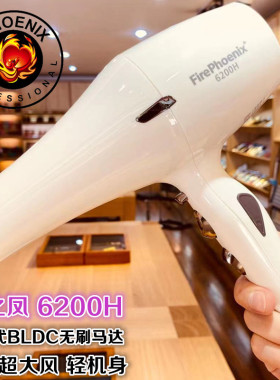火之凤电吹风机理发店专用发型师大功率发廊超轻大风静音无刷6200